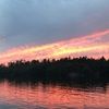 hanna_woods